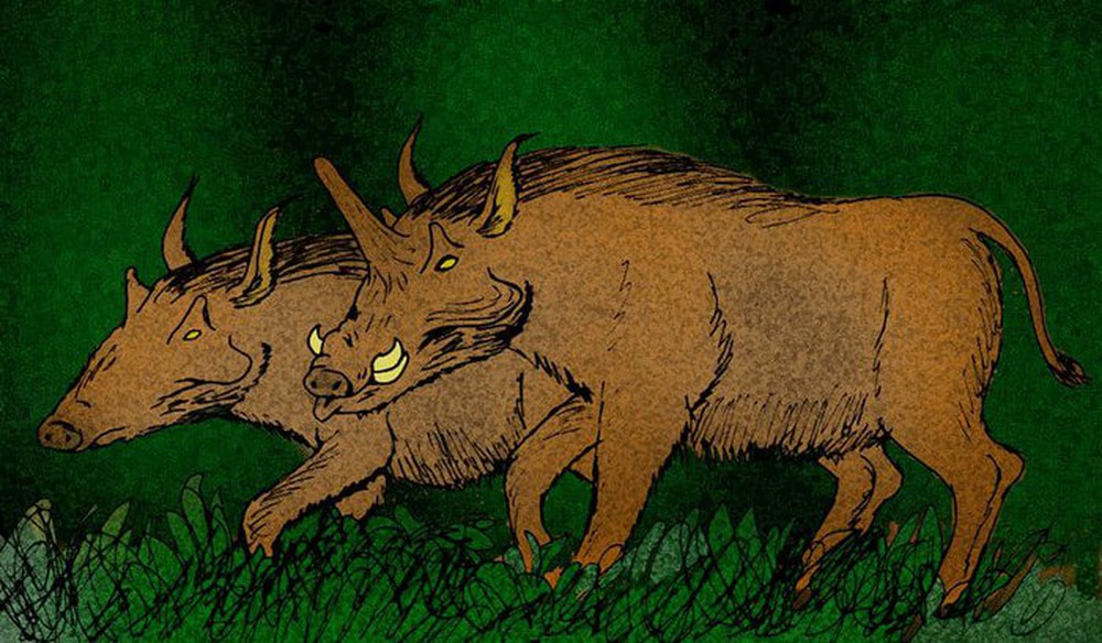 Kubanochoerus gigas: Loài lợn cổ xưa có sừng giống như kỳ lân trong thần thoại - Ảnh 5.