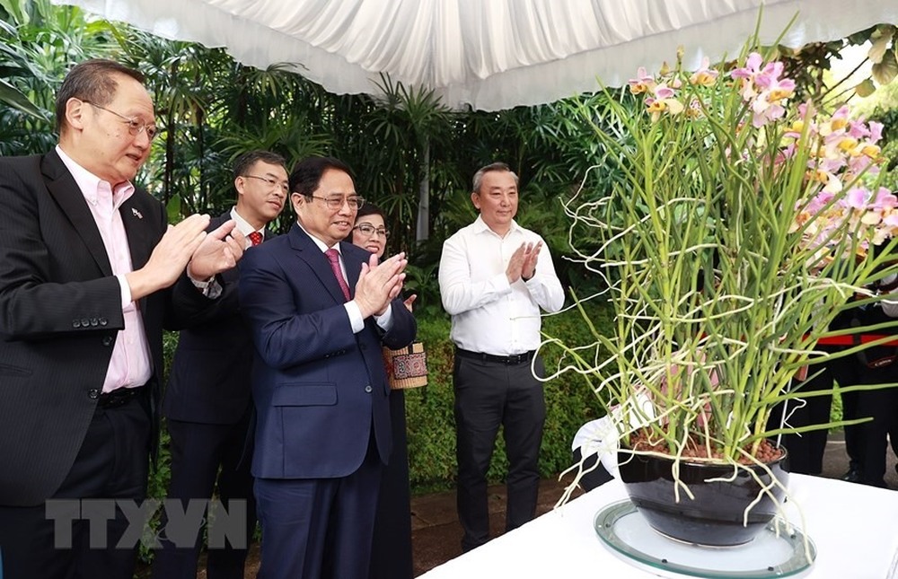 Singapore đặt tên hoa lan theo tên Thủ tướng Phạm Minh Chính và Phu nhân - Ảnh 1.