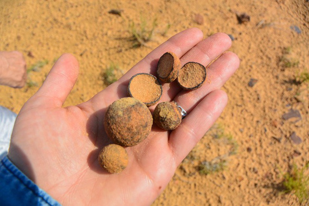 Những quả cầu 2,8 tỷ năm tuổi tại Nam Phi khiến các nhà khoa học đau đầu tìm cách lý giải - Ảnh 7.