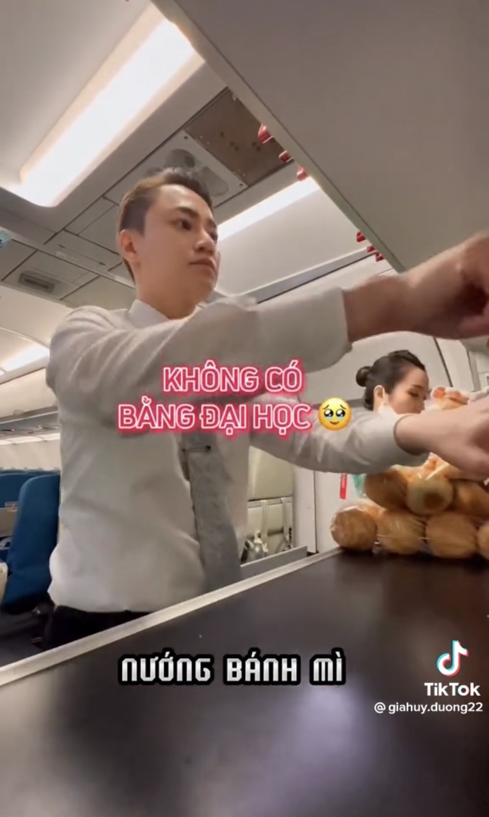 Có nên bỏ học Đại học để thi tiếp viên hàng không?