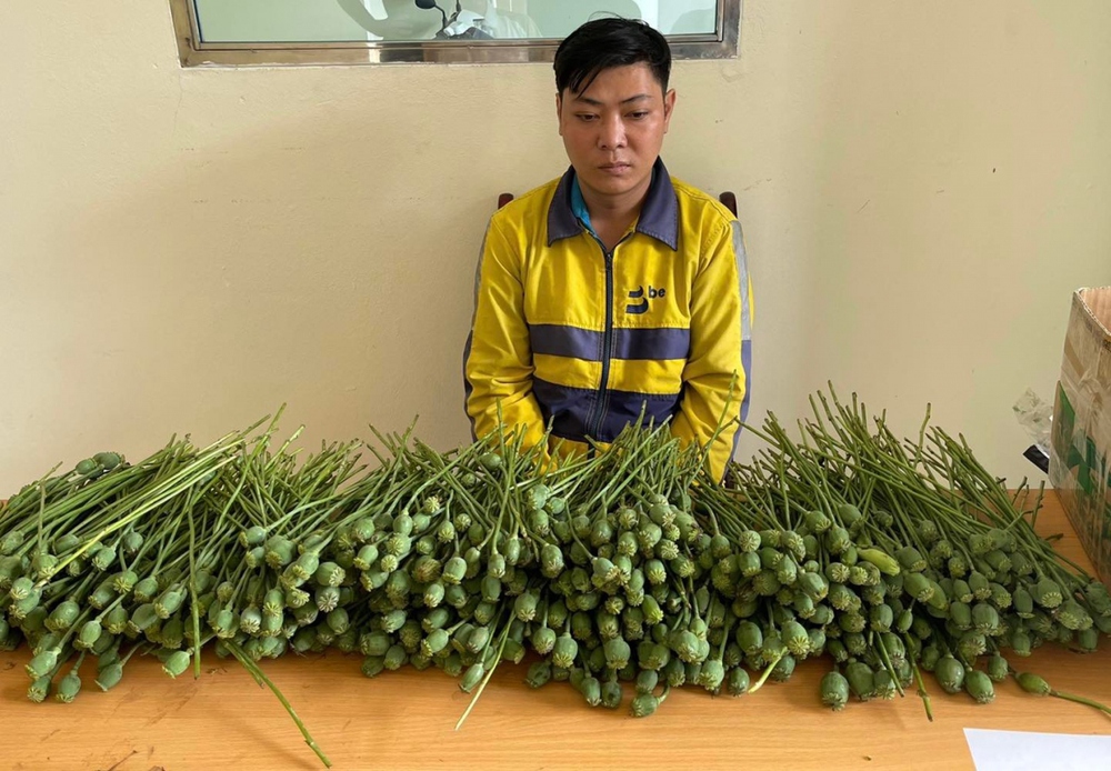 Hà Nội: Mang hơn 5kg cây thuốc phiện ra cổng trường đại học bán