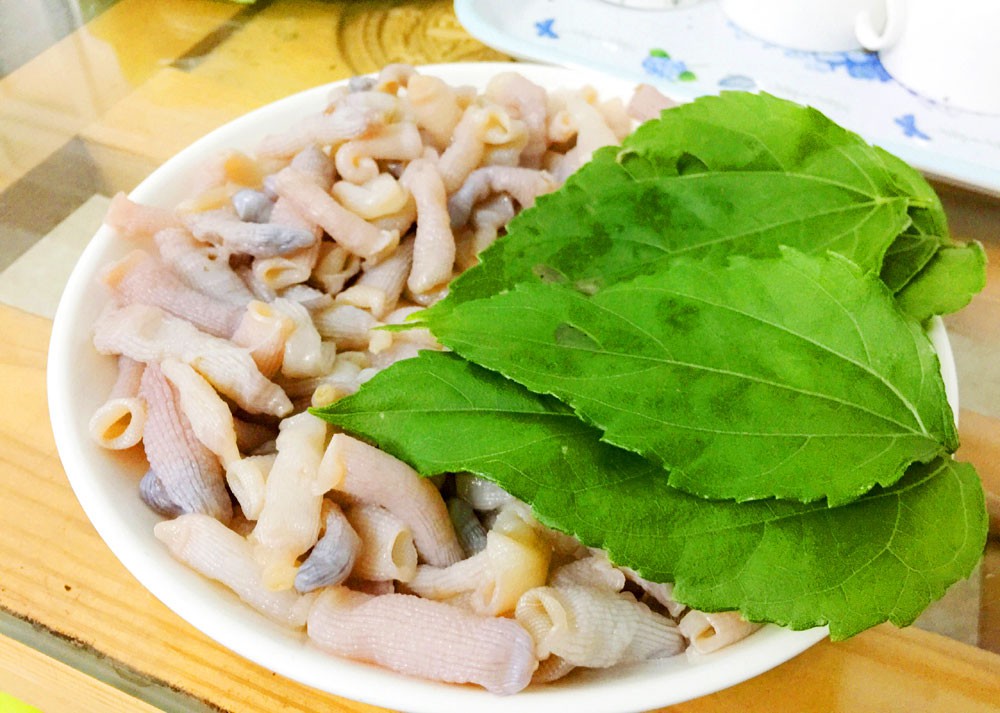 Thưởng thức gỏi “vàng ròng” hiếm có nơi biển Minh Châu