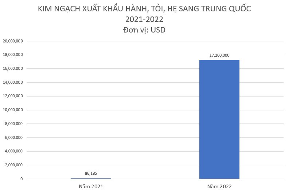 Mặt hàng này của Việt Nam được Trung Quốc ráo riết “săn lùng”, xuất khẩu tăng đột biến 20.000% trong năm 2022 - Ảnh 1.