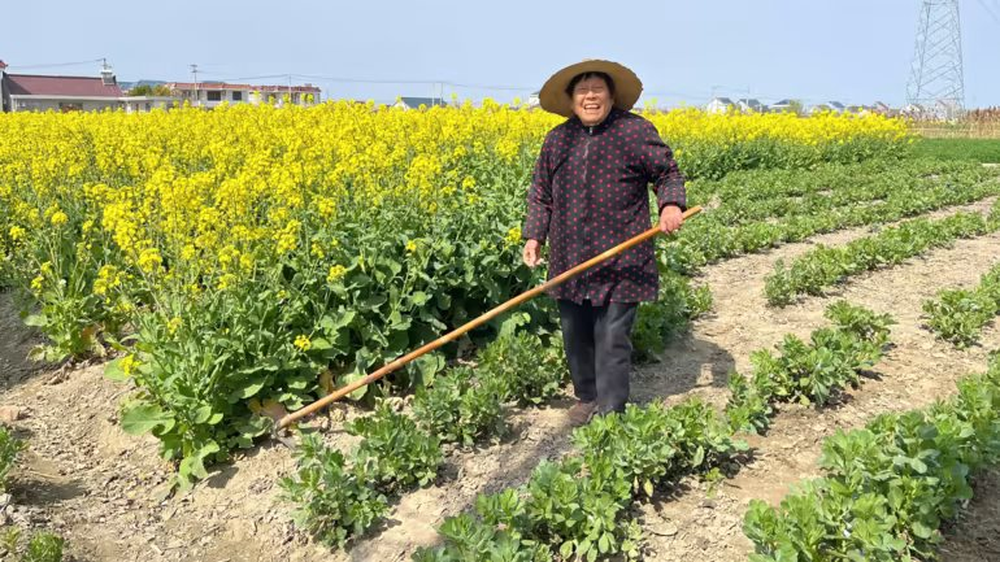 Thành phố của Trung Quốc đối mặt tình trạng “già hoá dân số”: Khi những hiệu thuốc bán bỉm cho người lớn còn nhiều hơn cho trẻ em - Ảnh 2.