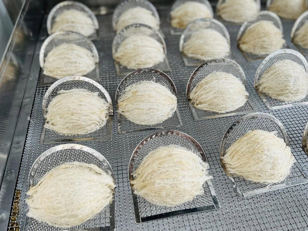 Rời bỏ phố thị, bà mẹ 2 con chia sẻ những khoản chi của cuộc sống thực tế khi về miền biển và lời khuyên tâm đắc để không “vỡ mộng” với viễn cảnh trong mơ