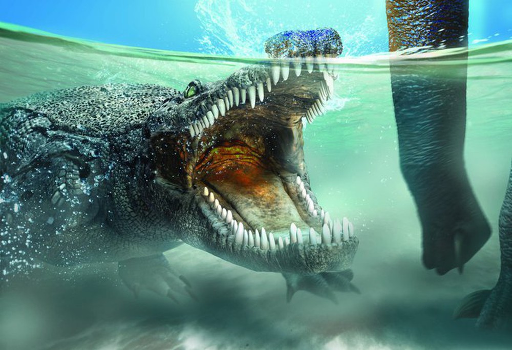 Sinh sống cùng thời với khủng long, tại sao cá sấu không tuyệt chủng? - Ảnh 2.