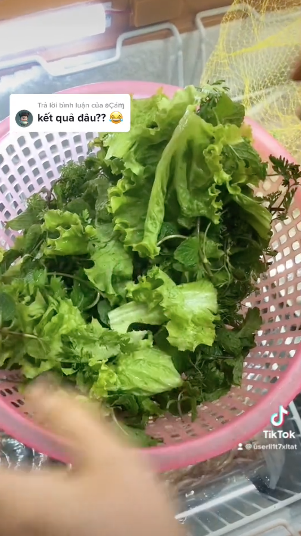 Cách vẩy rau sống “người vụng mấy cũng làm được” khiến dân tình thích thú: Về ra mắt nhà chồng là yên tâm rồi!