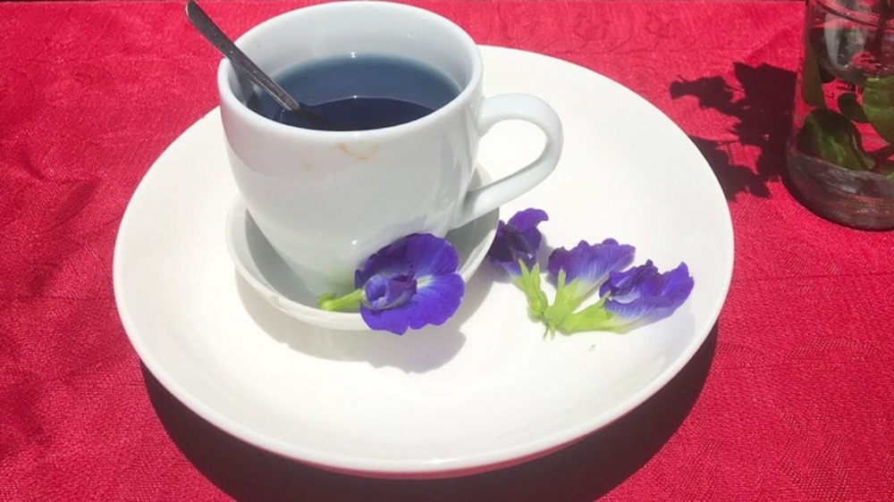 Uống trà hoa đậu biếc đúng cách tốt cho sức khỏe - Ảnh 1.