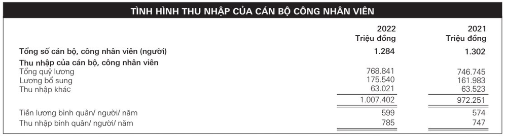 Lợi nhuận trở lại thời “hoàng kim”, một ngân hàng tại Việt Nam tăng thu nhập bình quân nhân viên lên hơn 65 triệu đồng/tháng - Ảnh 2.