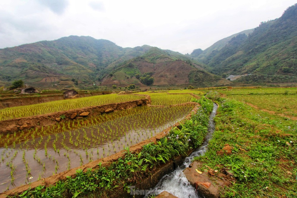 Mê mẩn khung cảnh thần tiên của rừng đào mười dặm trên đường đến Lai Châu - Ảnh 14.