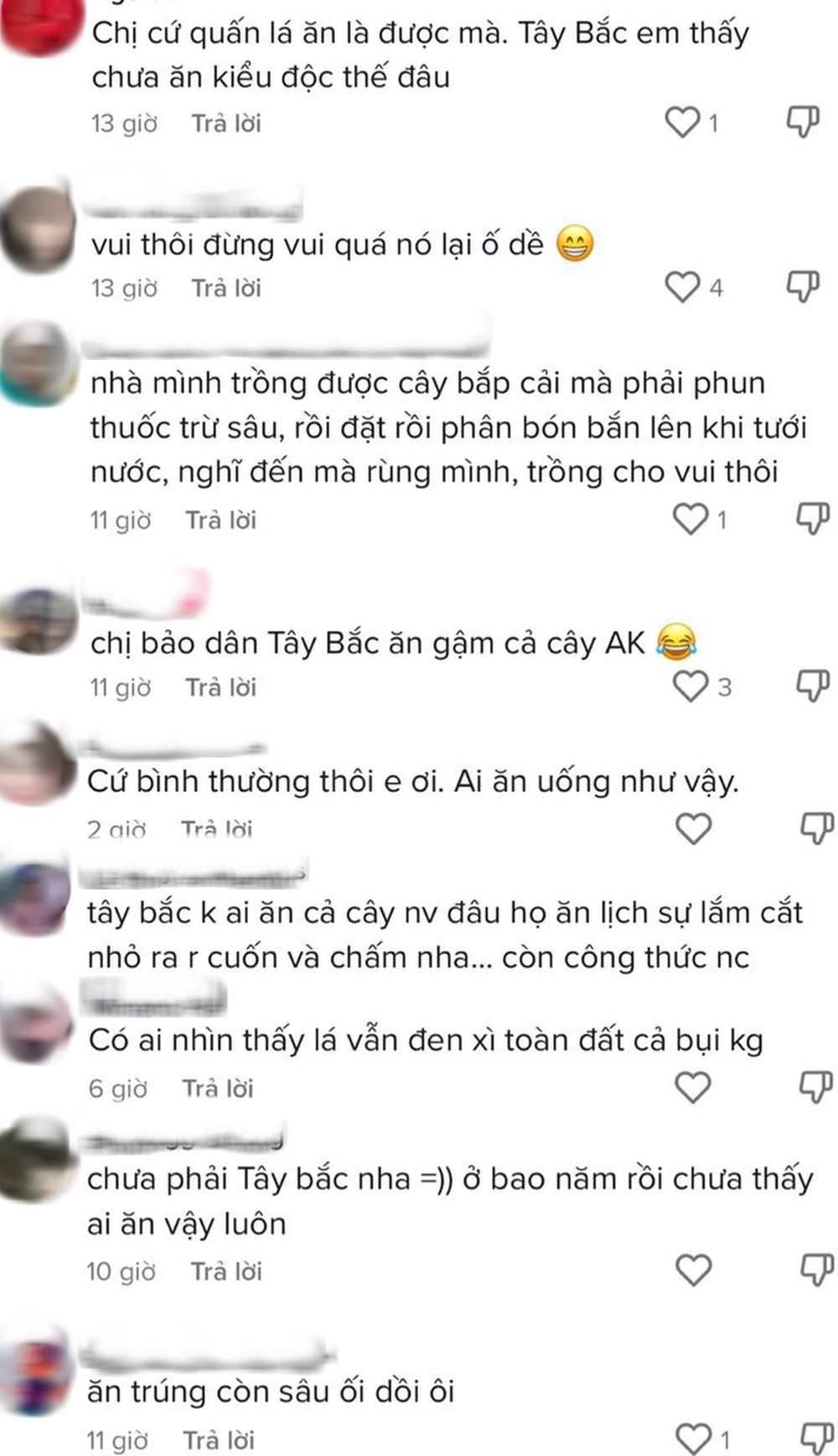 Hết gọi mèn mén bằng từ ngữ khó nghe, TikToker Hoàng Hường lại ăn món Tây Bắc theo kiểu khó hiểu khiến dân mạng bức xúc