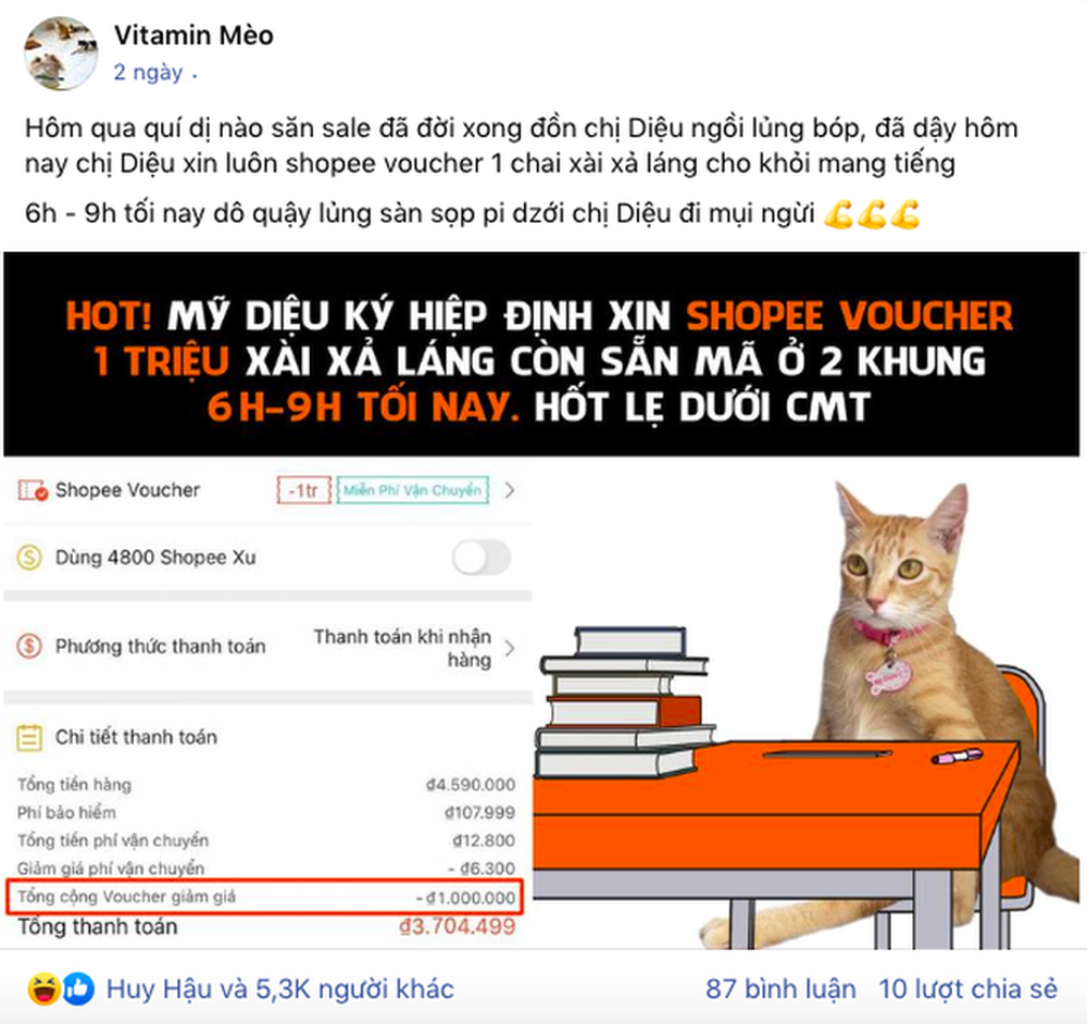 Chủ nhân chú mèo Mỹ Diệu lần đầu xuất hiện “thanh minh” về dáng ngồi bầy hầy của hoàng thượng gây bão khắp mạng xã hội