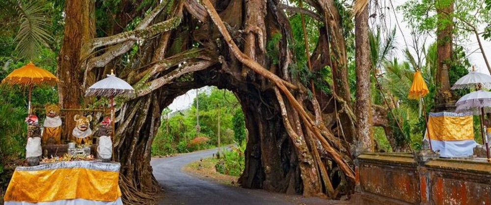 Lễ hội chào đón năm mới ở Bali - nơi làm ồn được cho là… phạm pháp - Ảnh 3.