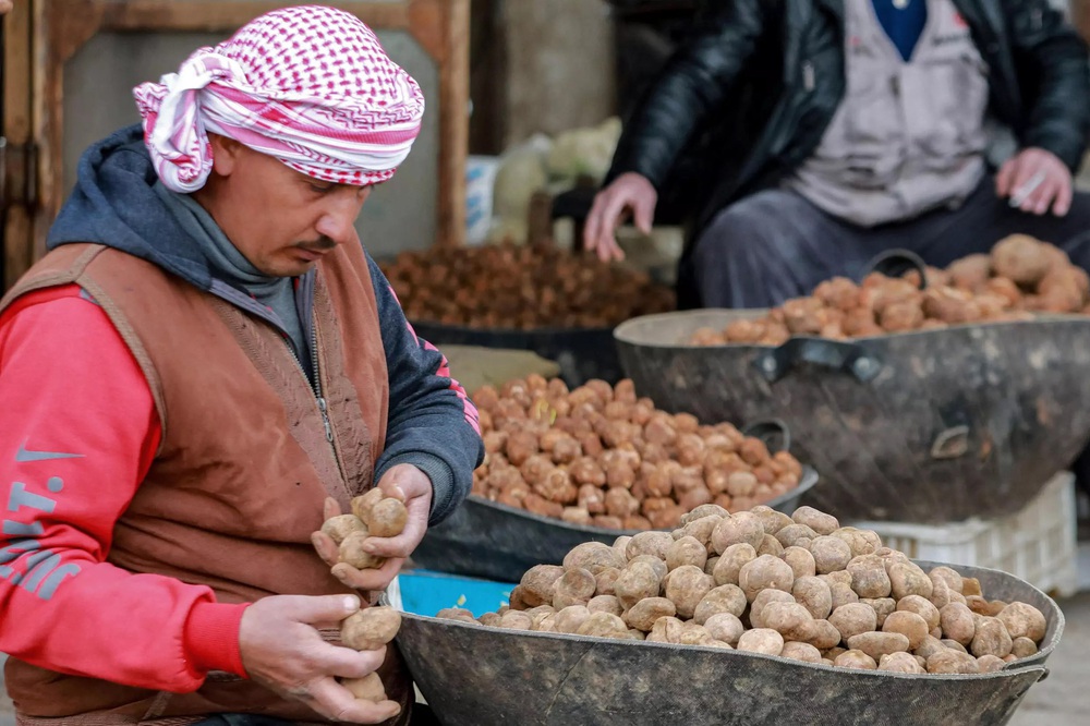 Đặc sản nhuốm máu ở Syria: Người dân liều mạng thu hoạch vì cùng đường, sáng bước ra khỏi nhà không biết tối còn về được không - Ảnh 2.