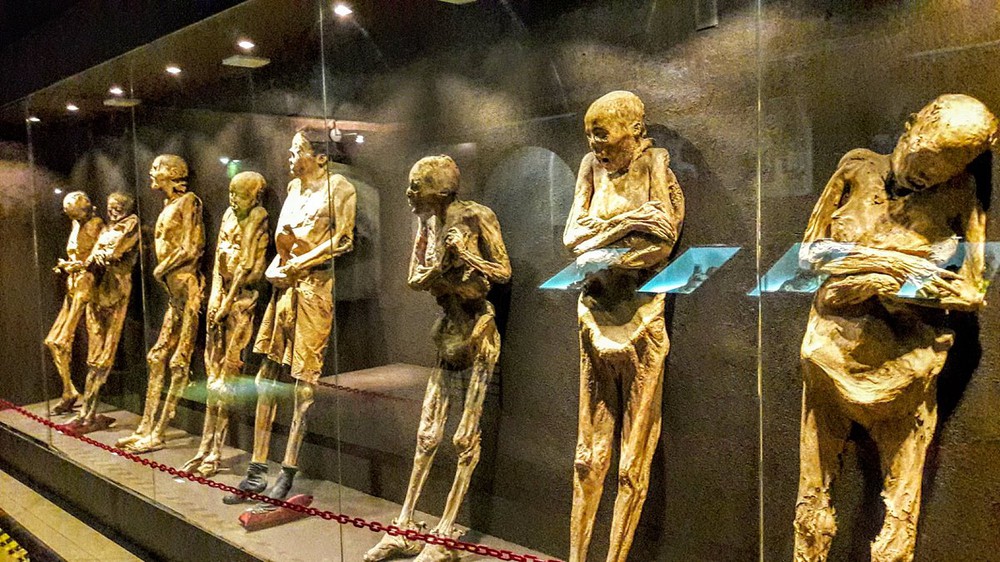 Các chuyên gia cảnh báo rằng các xác ướp được trưng bày ở Mexico có thể lây nhiễm nấm lời nguyền cho con người - Ảnh 5.