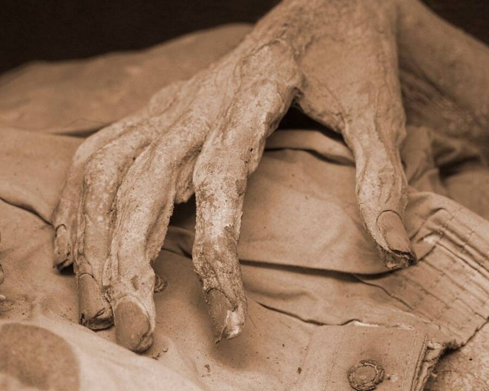 Các chuyên gia cảnh báo rằng các xác ướp được trưng bày ở Mexico có thể lây nhiễm nấm lời nguyền cho con người - Ảnh 4.