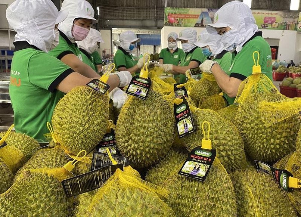 Xuất khẩu trái cây vua sang Trung Quốc tăng nóng gần 300% chỉ trong 2 tháng đầu năm, người Thái lo sợ mất ngôi quán quân vào tay Việt Nam - Ảnh 1.