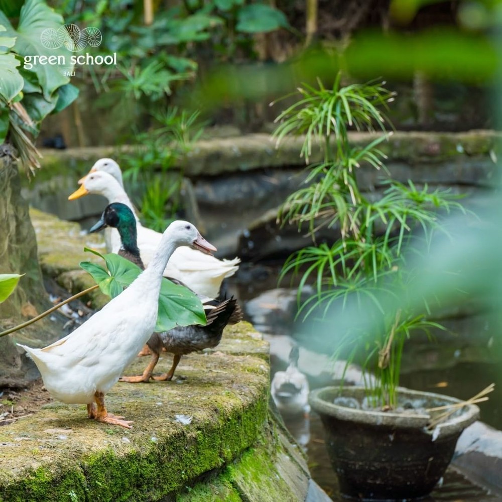 Ngôi trường quốc tế ấn tượng từ vẻ ngoài, chủ yếu làm bằng tre, dành giải thưởng kiến trúc đình đám: Đến cách giảng dạy cũng khác biệt - Ảnh 7.