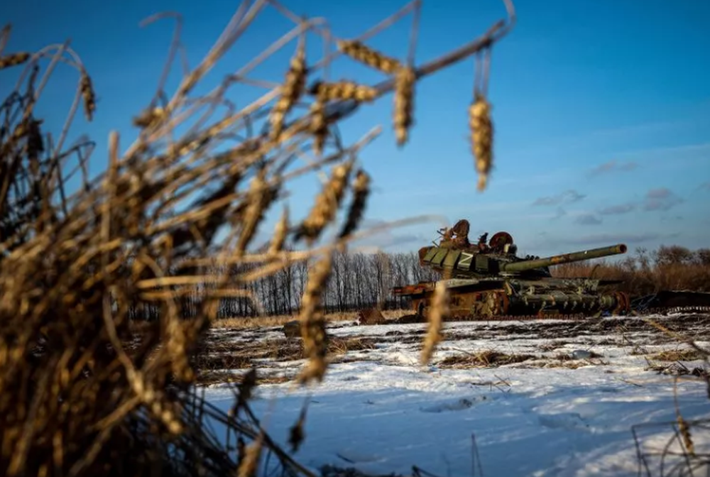Ngũ cốc Ukraine gây chia rẽ ở châu Âu, EU xử lý khủng hoảng ra sao - Ảnh 3.