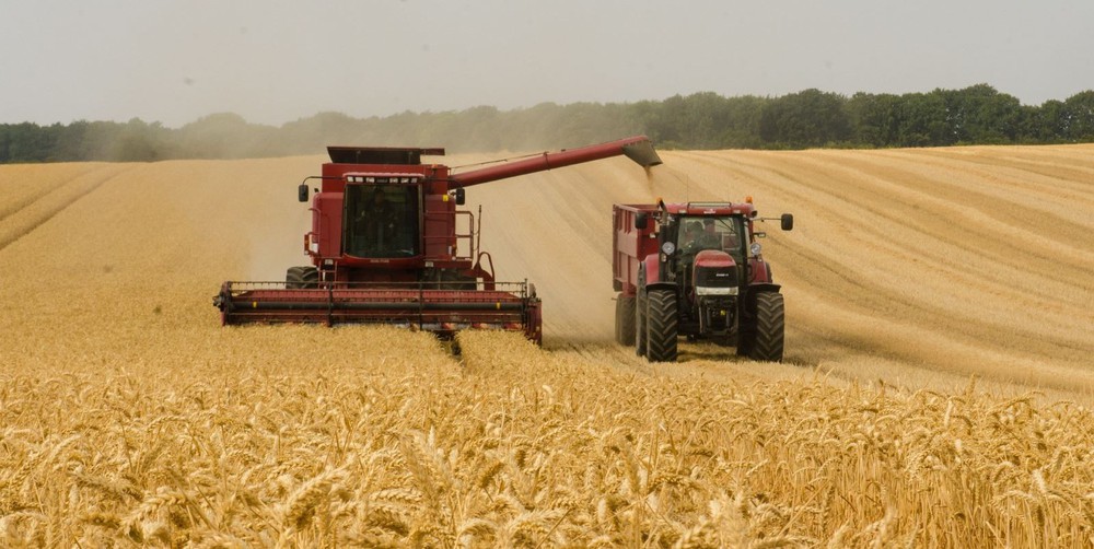 Ngũ cốc Ukraine gây chia rẽ ở châu Âu, EU xử lý khủng hoảng ra sao - Ảnh 2.