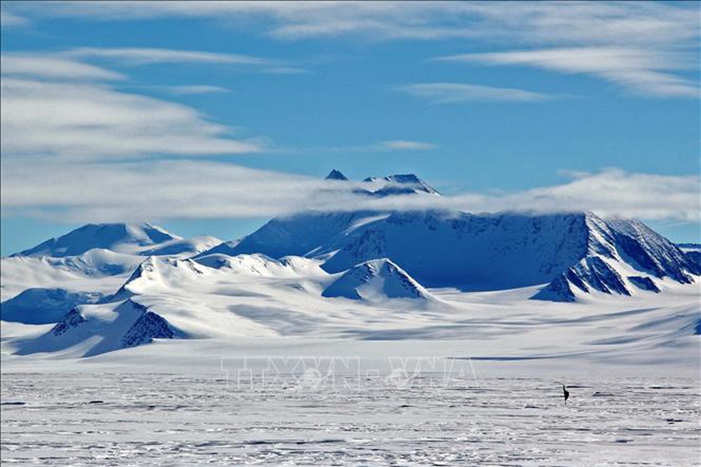 Các nhà khoa học thành công trong việc lưu trữ mẫu băng cổ xưa ở Bắc Cực - Ảnh 1.