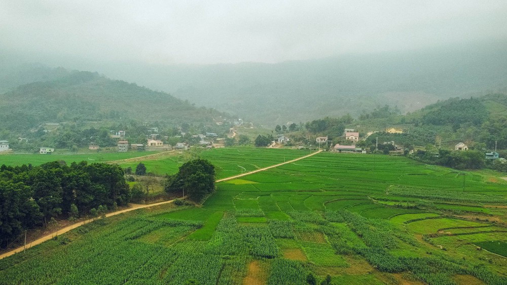 Sự thật về nơi có rừng trúc xanh mướt, nhiều người lùng sục suốt nhiều ngày qua vì muốn đưa gia đình tới tránh nóng - Ảnh 3.