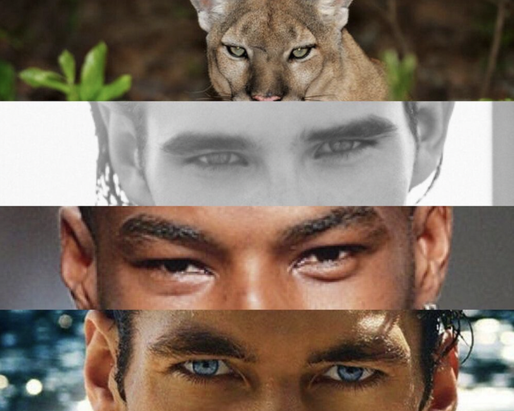 Vì sao con người lại sở hữu đôi mắt của những kẻ săn mồi hàng đầu? - Ảnh 5.
