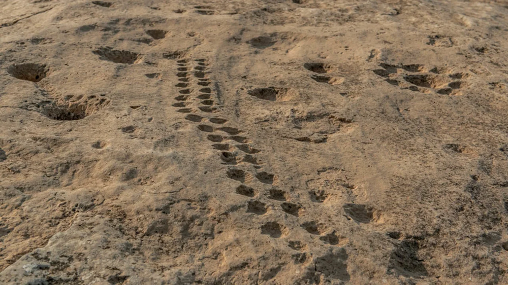Độc đáo tranh khắc đá trên sa mạc - Ảnh 1.