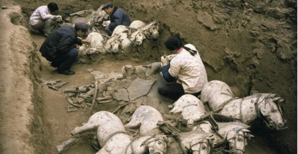 Những bộ xương kỳ lạ trong lăng Tần Thủy Hoàng: Loài vật cũng bị tuẫn táng - Ảnh 3.