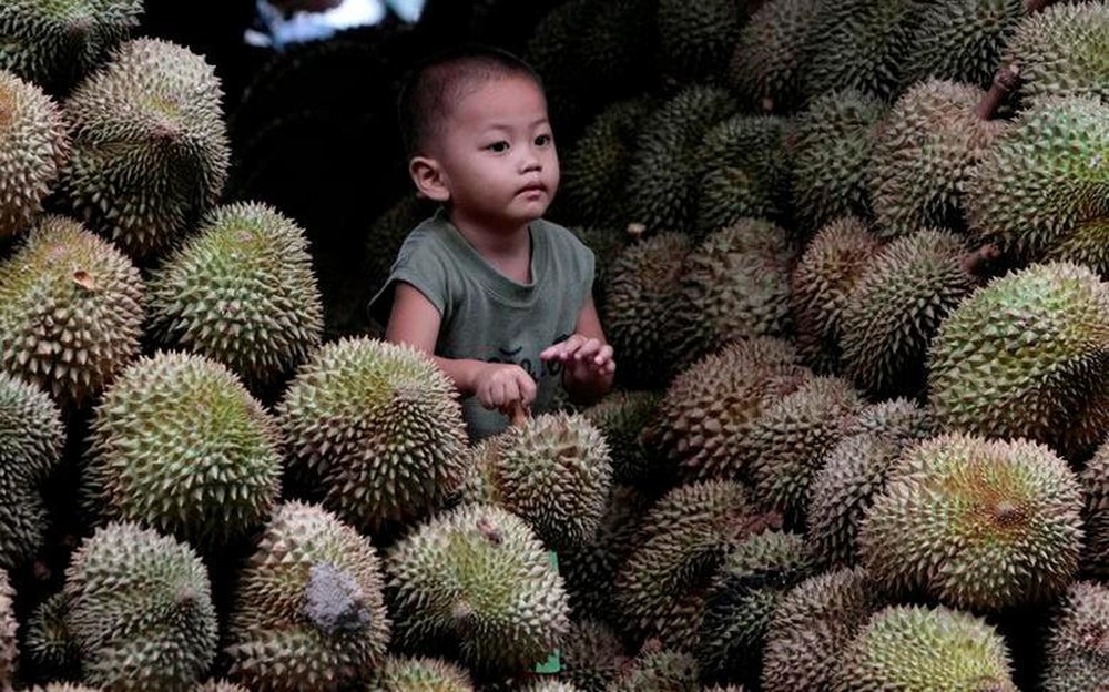 Việt Nam xuất khẩu tỷ USD mặt hàng này sang Trung Quốc nhưng Thái Lan mới là ‘bạn hàng’ số một của người dân ở đây - Ảnh 1.