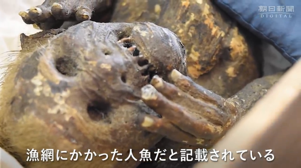 ‘Nàng tiên cá’ 300 tuổi ở đền Enjuin Nhật Bản là đồ giả - Ảnh 1.