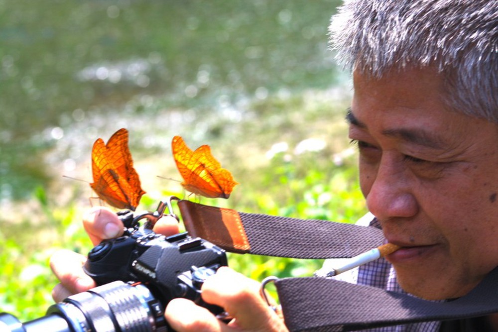 Ngắm bướm bay tuyệt đẹp rợp vườn quốc gia Cúc Phương - Ảnh 17.