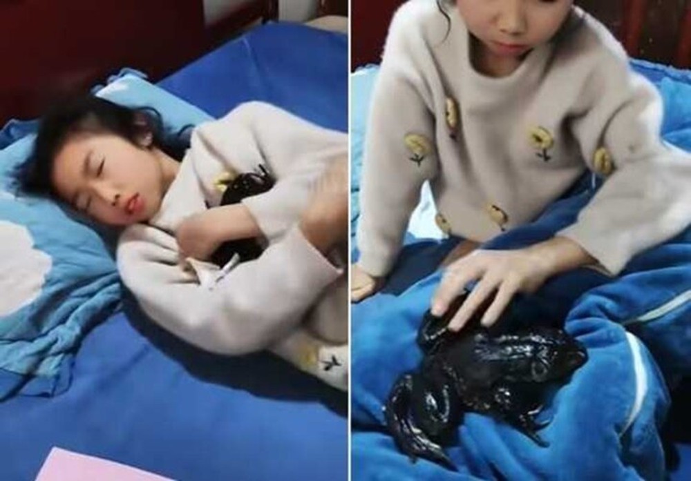 Nghe tiếng động lạ trong phòng con gái, kiểm tra phát hiện điều rợn người