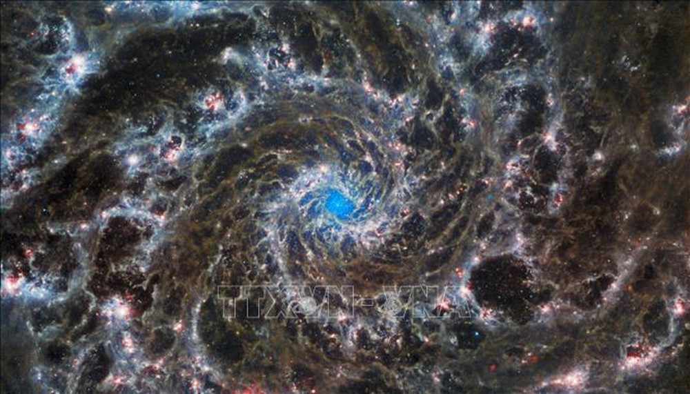 Kính viễn vọng James Webb phát hiện 4 thiên hà lâu đời nhất từ trước đến nay - Ảnh 1.