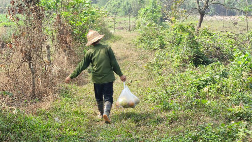 Gia đình sống gần như tuyệt giao với xã hội ở Thanh Hóa: Bố mẹ mất, 2 con vẫn khép cửa với xung quanh - Ảnh 3.