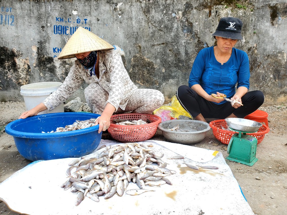 Tìm về xứ Thanh, nghe người dân kể câu chuyện minh oan cho làng “ăn mày”