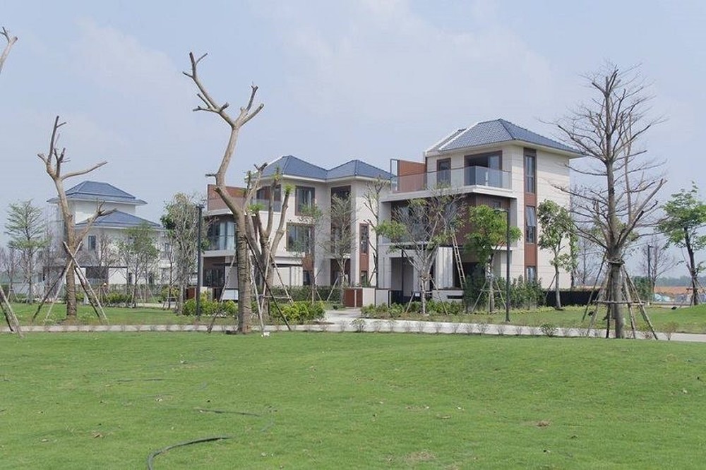 Thị trường bất động sản Nhơn Trạch (Đồng Nai) diễn biến lạ - Ảnh 4.