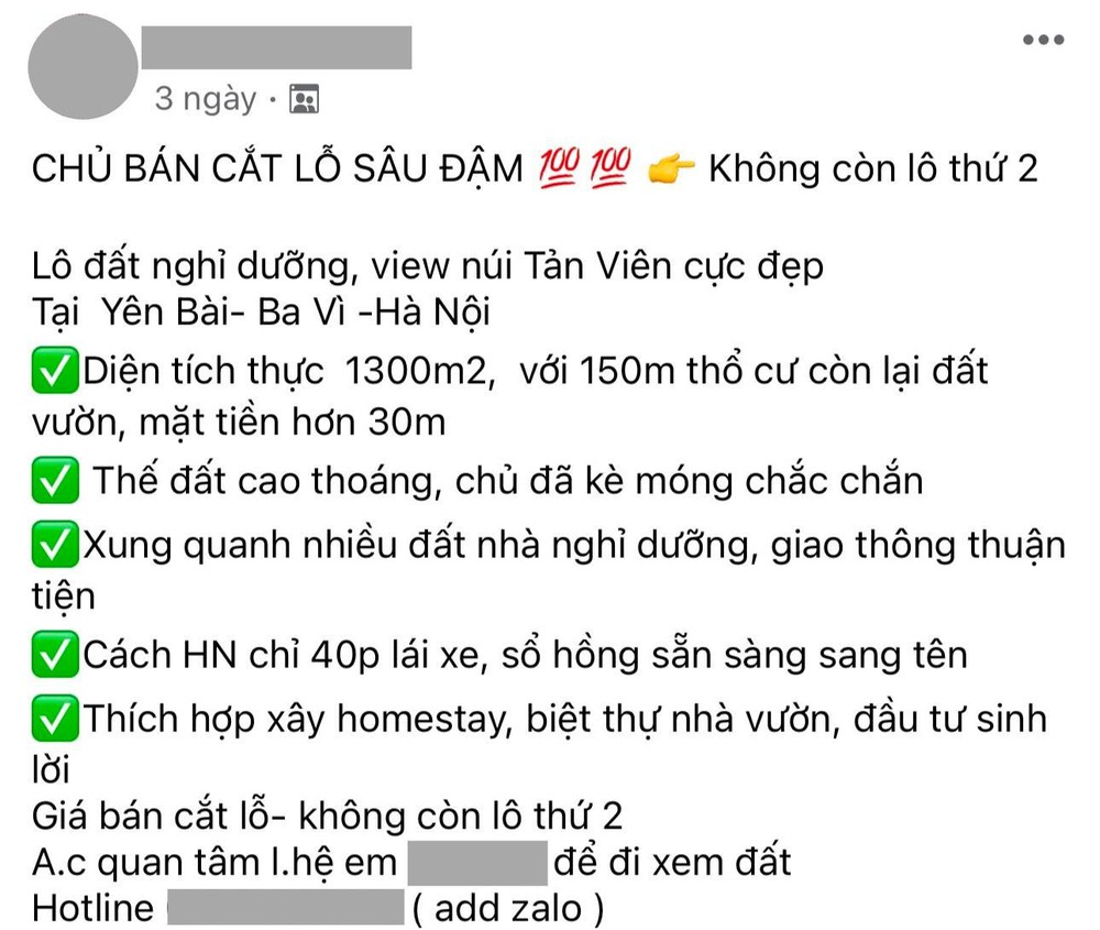 Sau 2 năm làn sóng bỏ phố “về quê nuôi cá và trồng thêm rau” bùng nổ: “Bán tháo” tràn lan, giá giảm sâu - Ảnh 2.