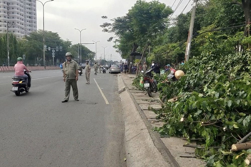 Xe điên lao lên vỉa hè tông trúng 2 nhân viên cây xanh ở TP HCM - Ảnh 1.