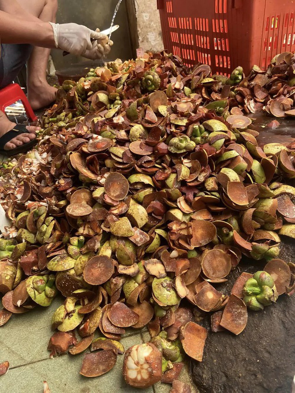 “Năm tam tai” của măng cụt nhưng là cơ hội kiếm tiền bất ngờ của nhiều người: Lột vỏ kiếm 600k/ngày
