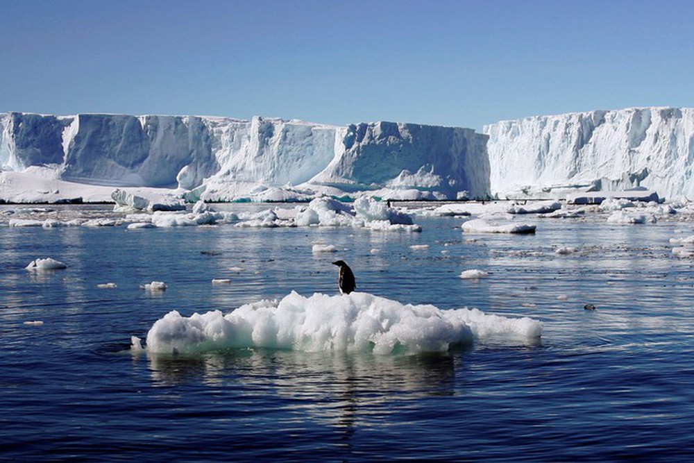 Phát hiện thế giới khác ẩn sâu hàng nghìn mét dưới lớp băng ở Nam Cực - Ảnh 10.