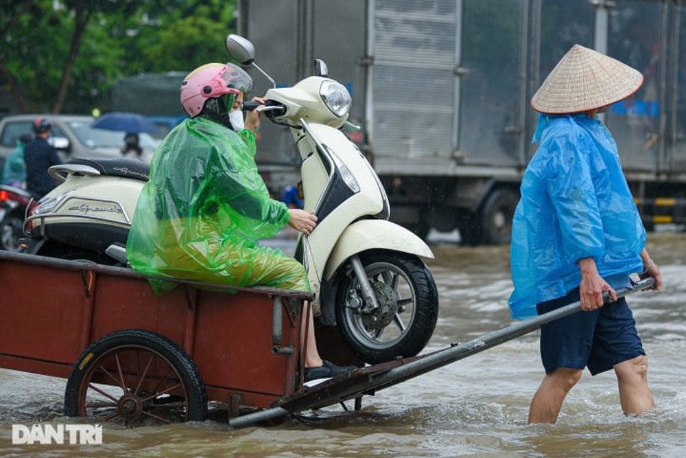 Việc nhẹ lương cao ngất ở Việt Nam: Gọt măng cụt kiếm nửa triệu đồng mỗi ngày - Ảnh 3.