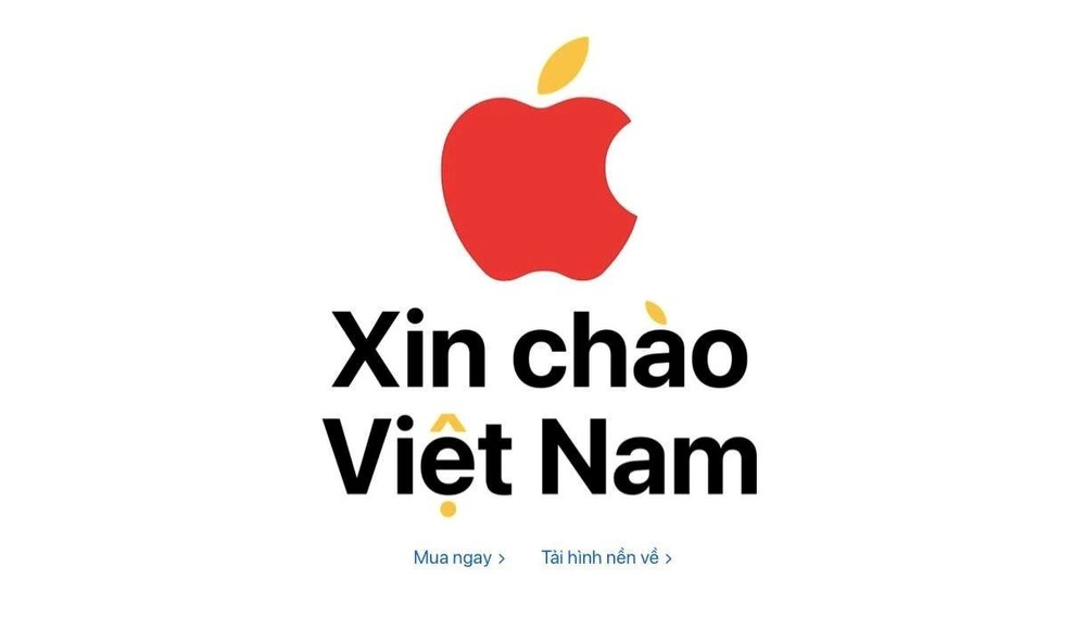 Báo Nga: Việt Nam nhảy vọt trở thành “cường quốc” trong lĩnh vực làm khuynh đảo thị trường, viết nên chiến thắng - Ảnh 3.