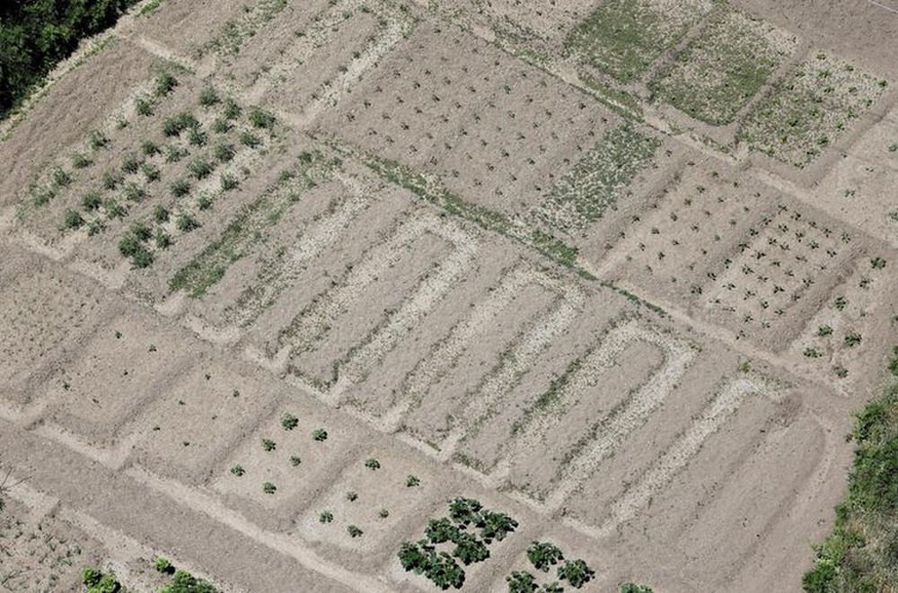 Hình ảnh đất tai nứt toác vì khô hạn ở Tây Ban Nha - Ảnh 14.