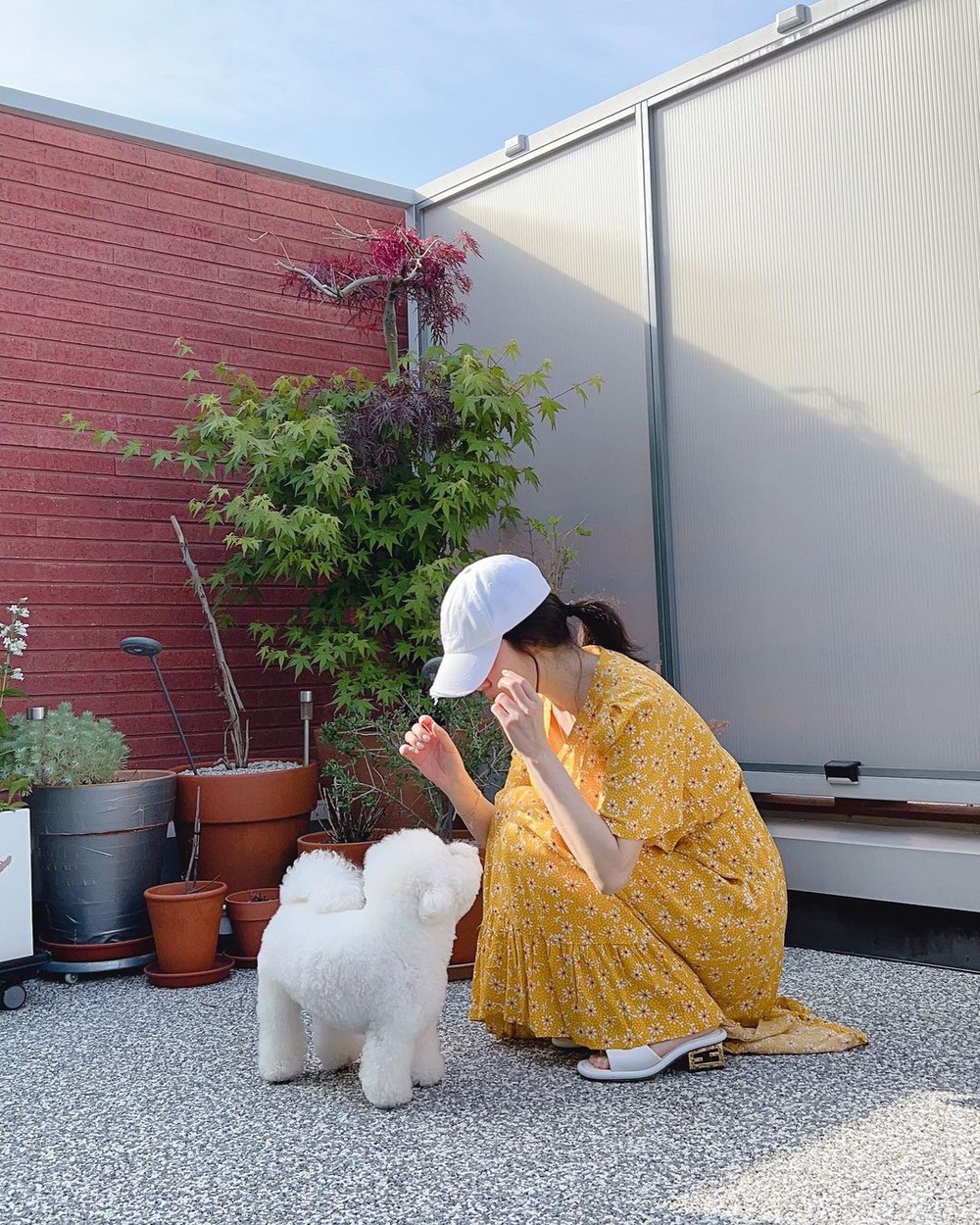 Song Hye Kyo khoe khoảnh khắc bình yên bên cún cưng, nhưng mặt mộc hoàn hảo mới là tiêu điểm - Ảnh 4.