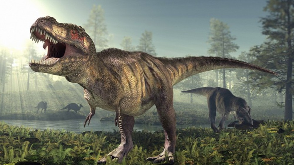 Hai chân trước có kích thước tí hon của khủng long Tyrannosaurus rex có tác dụng gì? - Ảnh 13.