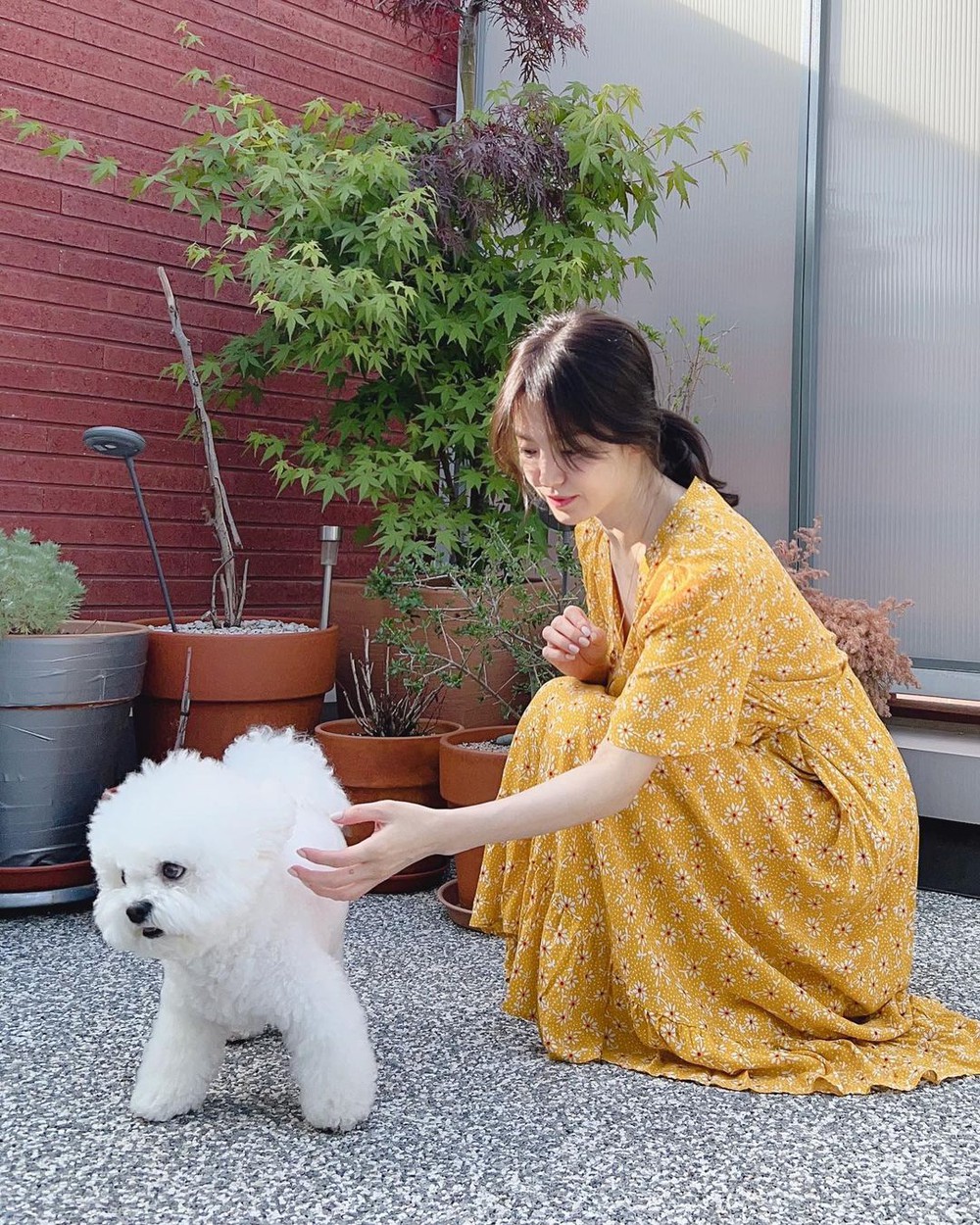 Song Hye Kyo khoe khoảnh khắc bình yên bên cún cưng, nhưng mặt mộc hoàn hảo mới là tiêu điểm - Ảnh 2.