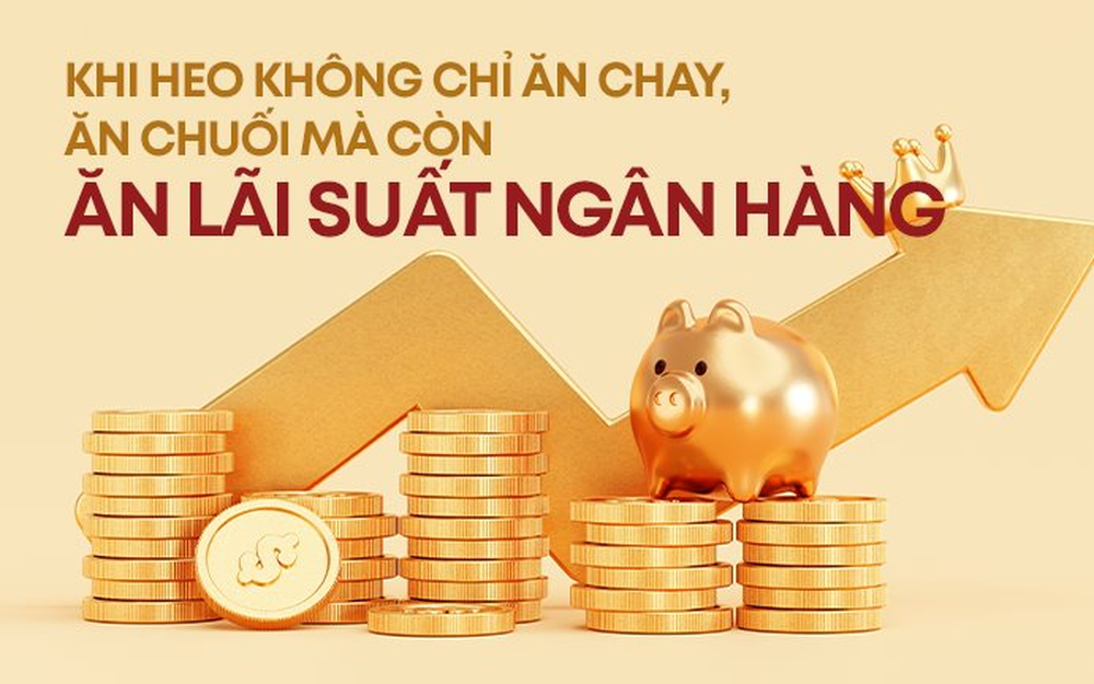 Khi heo không chỉ ăn cám, ăn chuối mà còn ăn cả lãi ngân hàng - Ảnh 1.