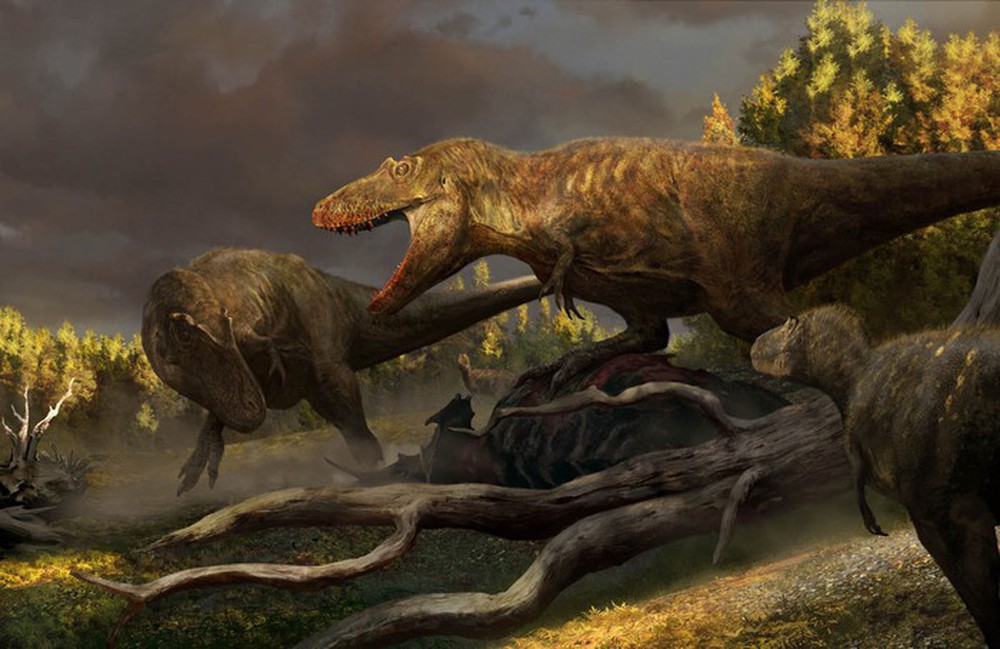 Hai chân trước có kích thước tí hon của khủng long Tyrannosaurus rex có tác dụng gì? - Ảnh 5.