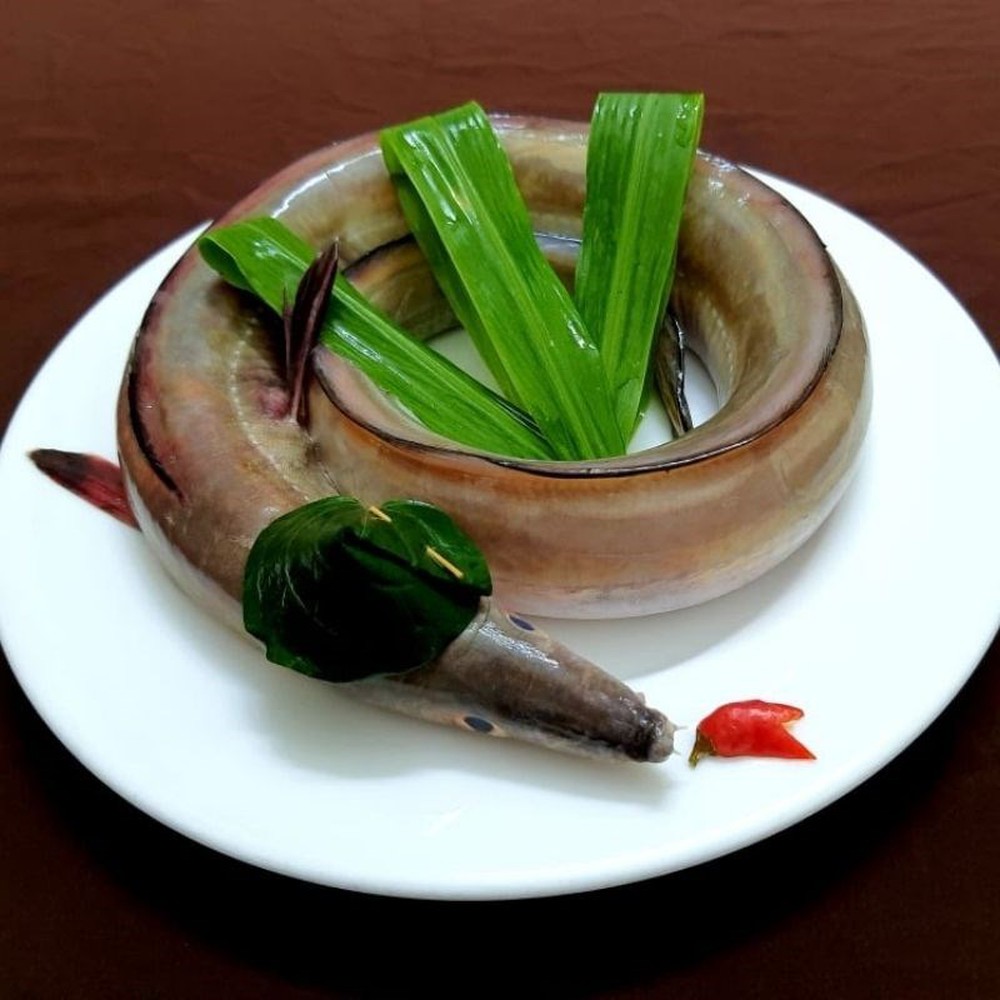 Thưởng thức gỏi cá nức tiếng, đặc sản hút khách ở biển xứ Thanh